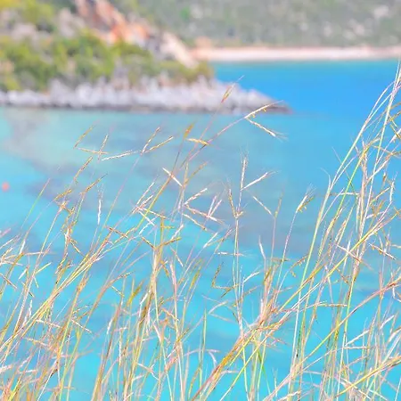 Paraskevas Beach Hotel Otel Tirós