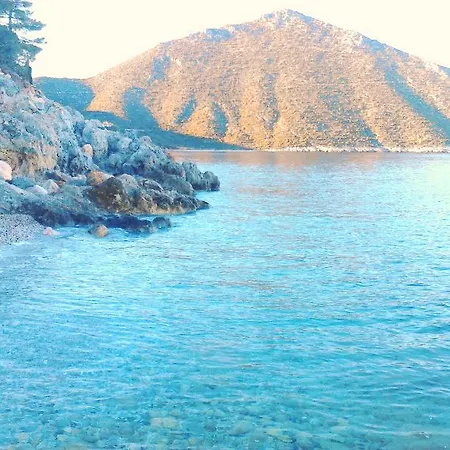 Paraskevas Τυρός