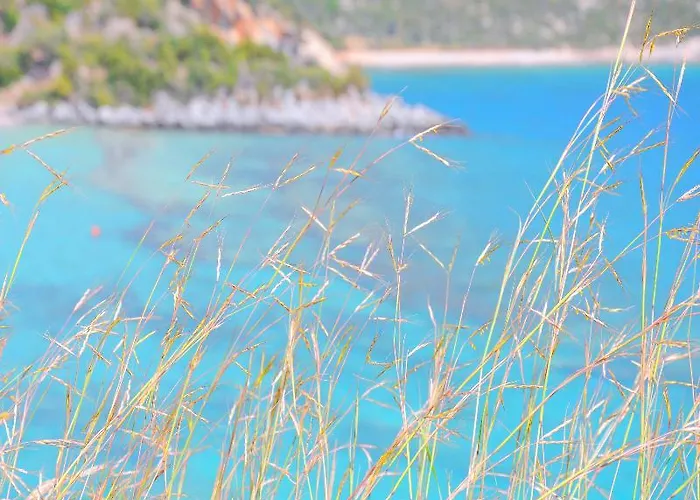 Paraskevas Ξενοδοχείο Τυρός