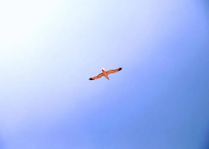 Paraskevas Ξενοδοχείο